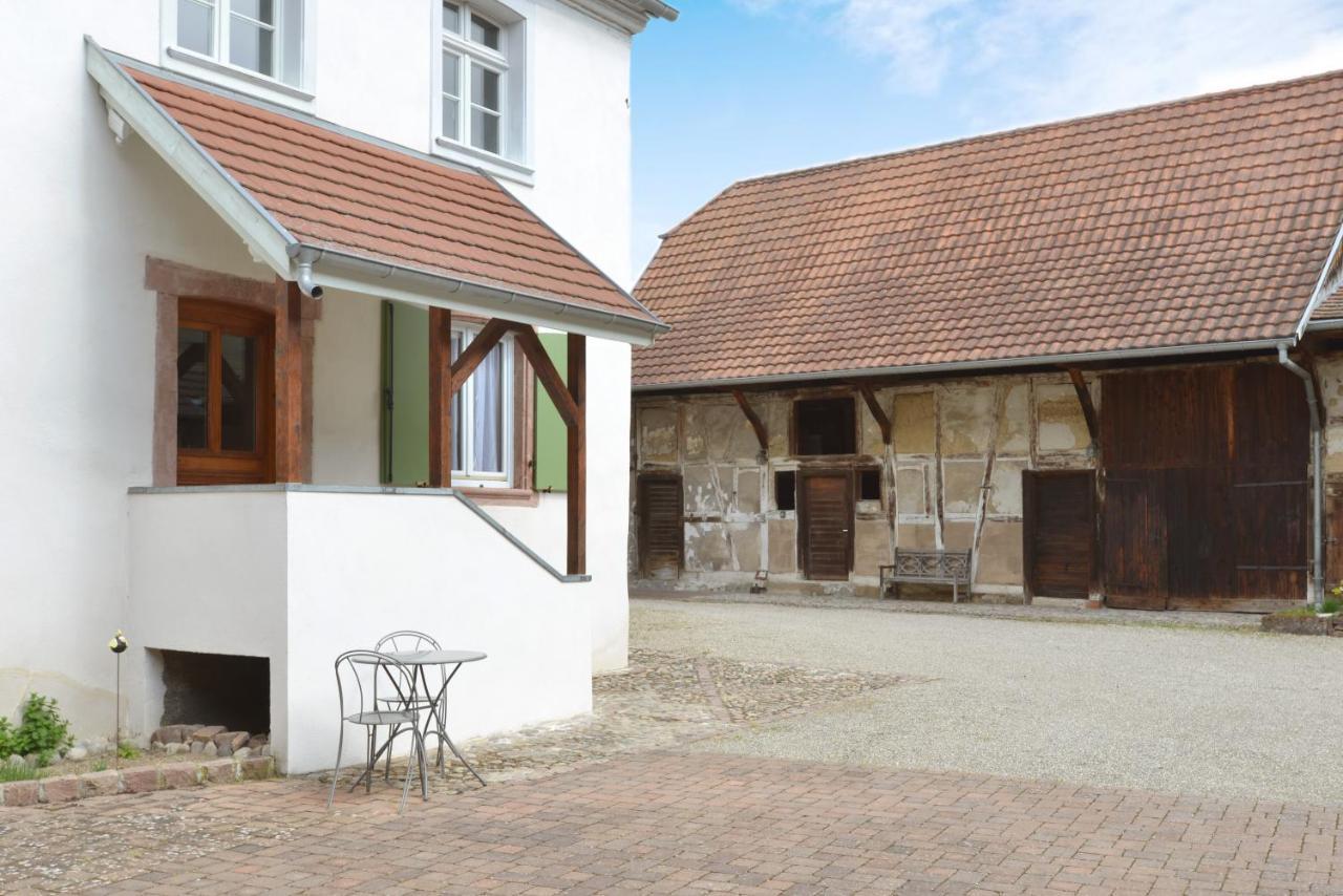 La Maison Oberlin Horbourg Esterno foto